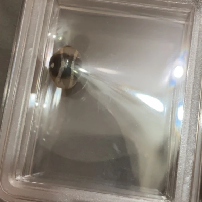 藏地密码，藏式珠子y65