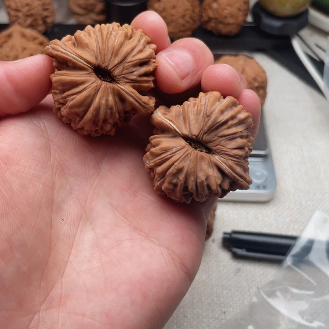 -***鹏把件文玩核桃楼子