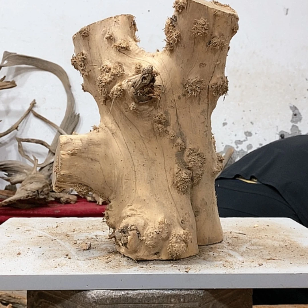 【闪购商品】柏木嵩**哥我们都是好孩子