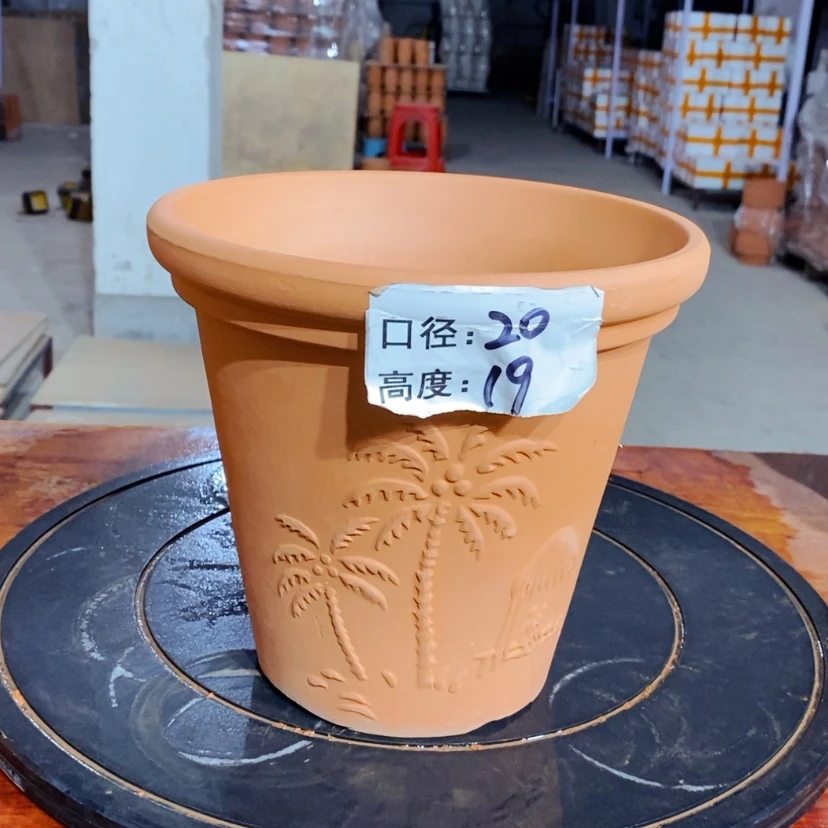 【闪购商品】椰树20×19-1