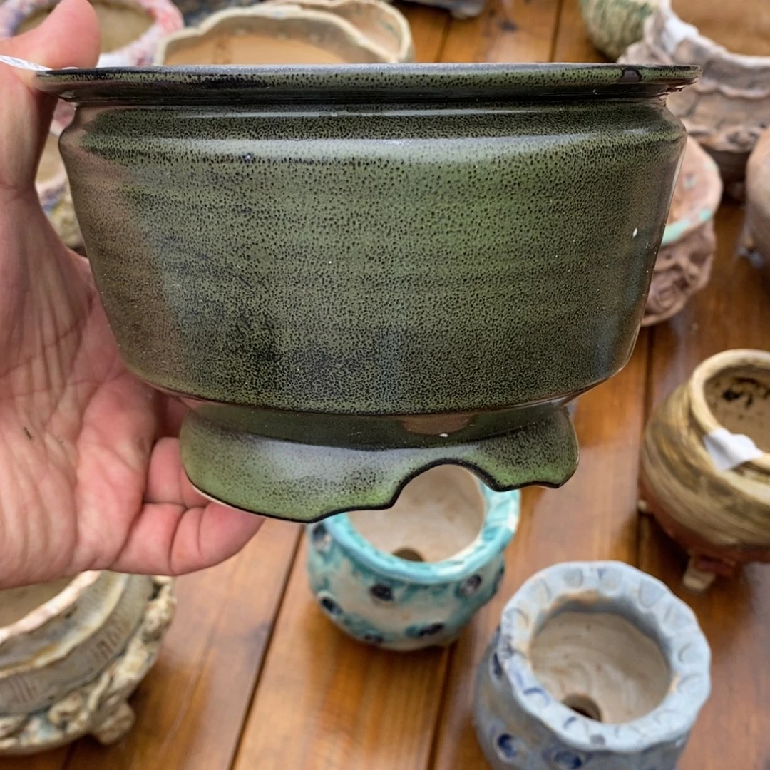 89号花盆内14高11