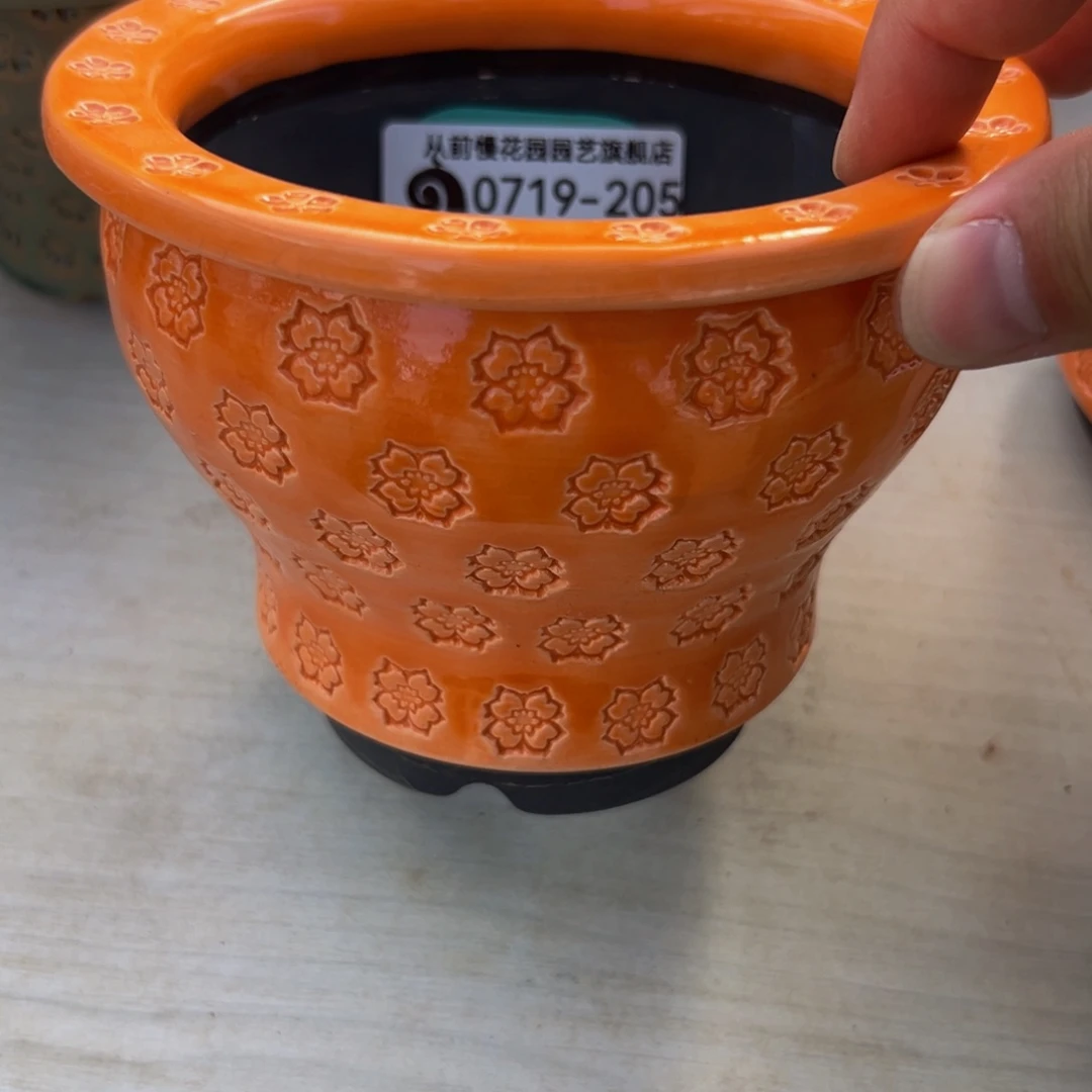 多肉一物一拍0719-205