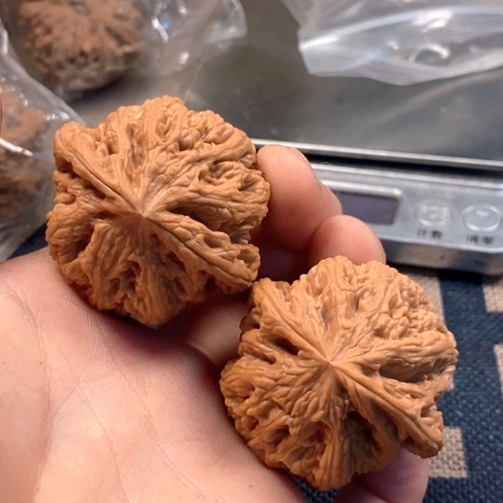 文玩核桃吊坠全品粗筋