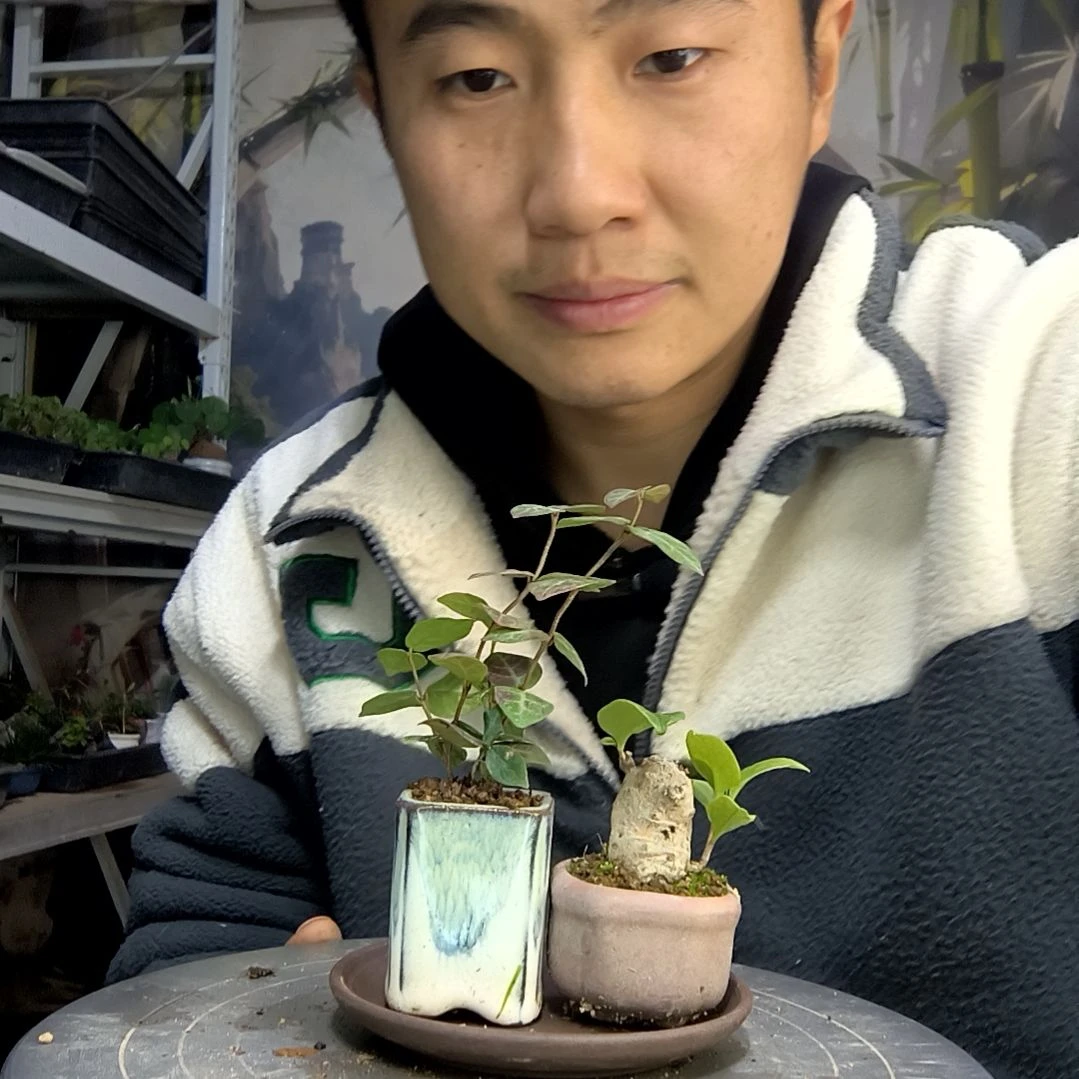 ?***心中青园艺一物一拍462