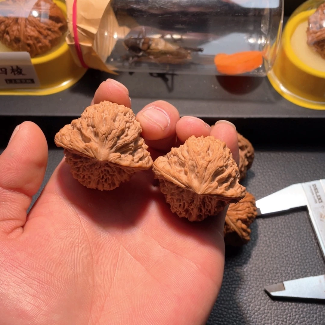 刘***跳文玩核桃吊坠南疆蛇