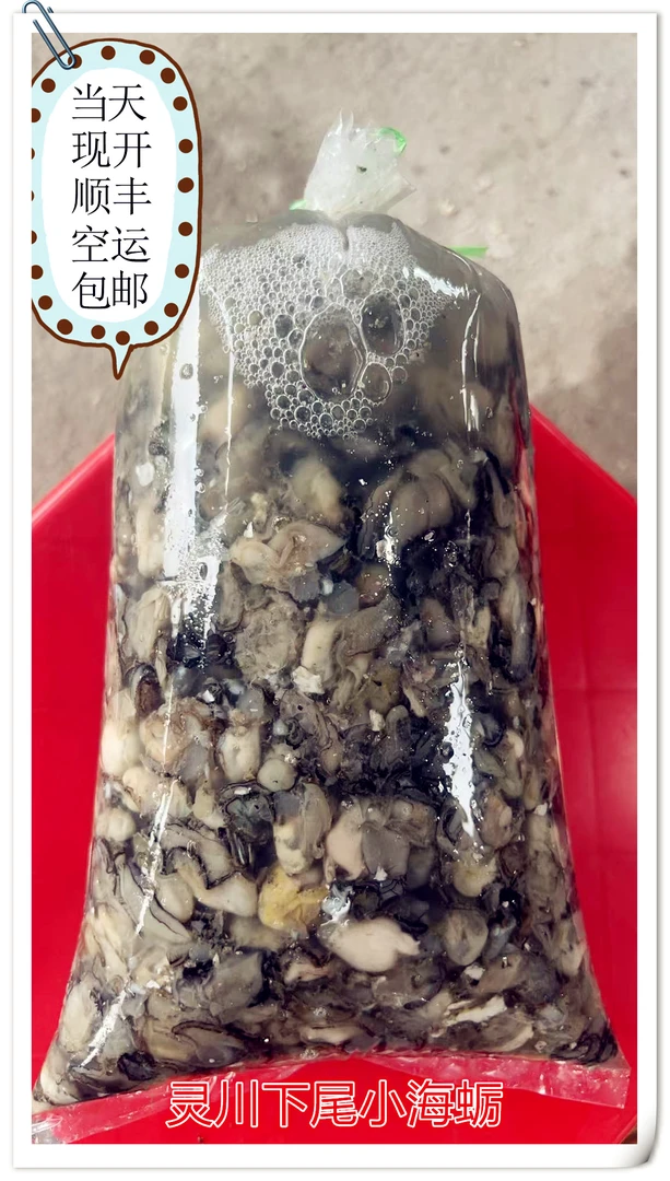 福建小海蛎莆田灵川下尾不泡水小海蛎足斤两当天现开顺丰空运包邮