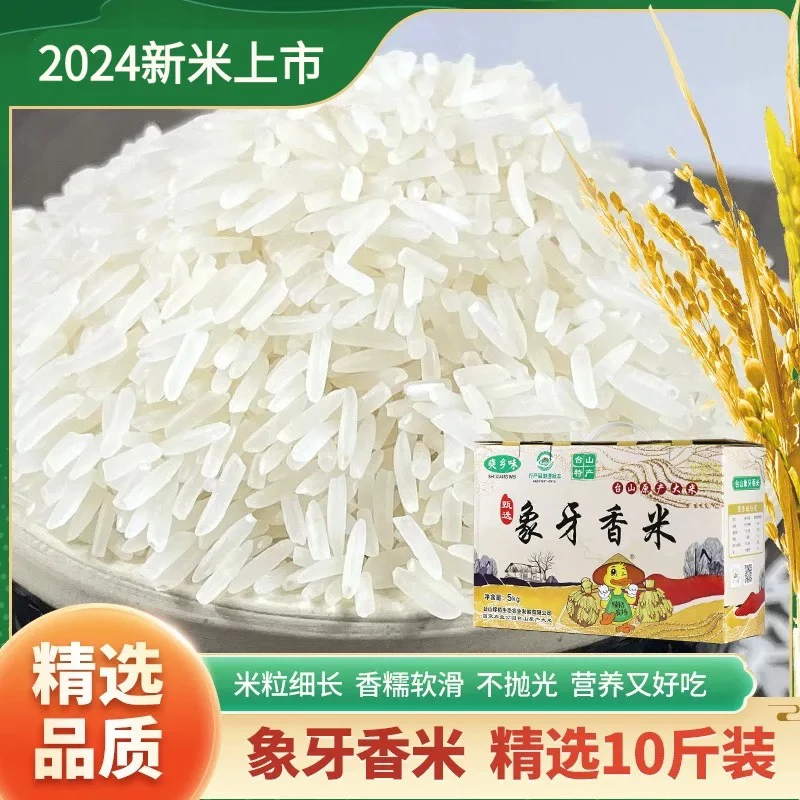 广东台山农家2 4年新大米精品五星象牙香米煲仔饭专用真空包装5KG