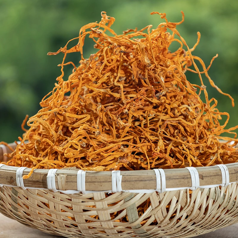 娄山云集【农家虫草花】