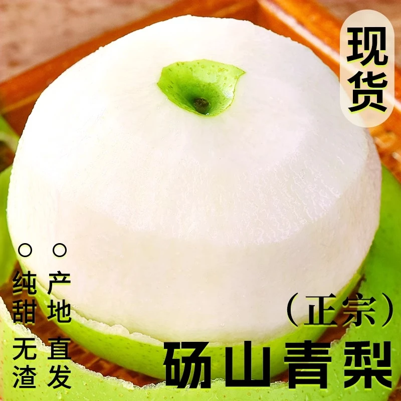 正宗砀山酥梨 新鲜蜜梨 皇冠梨脆甜无渣多汁爽口当季头茬现摘梨
