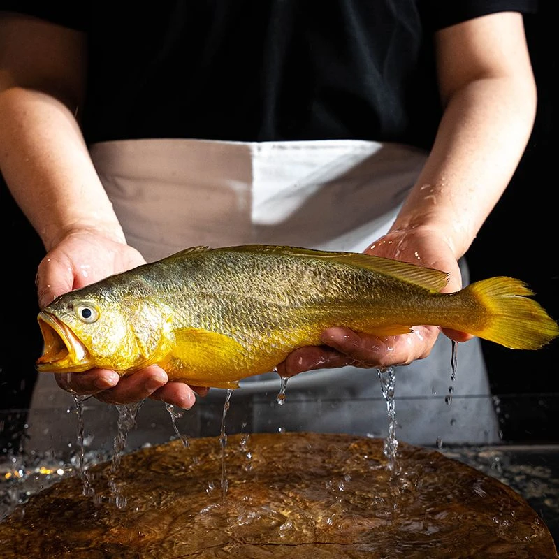 单独一个礼盒 没有鱼（单买不发哦）