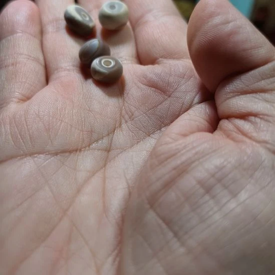 玛瑙/玉髓未镶嵌珠子天然原矿玛瑙