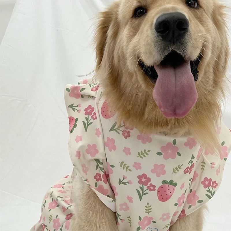 春夏狗狗衣服宠物狗大型犬金毛拉布拉多大狗萨摩耶中型边牧薄款潮