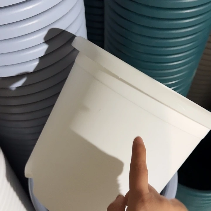 四季5号纯白带托10套特价