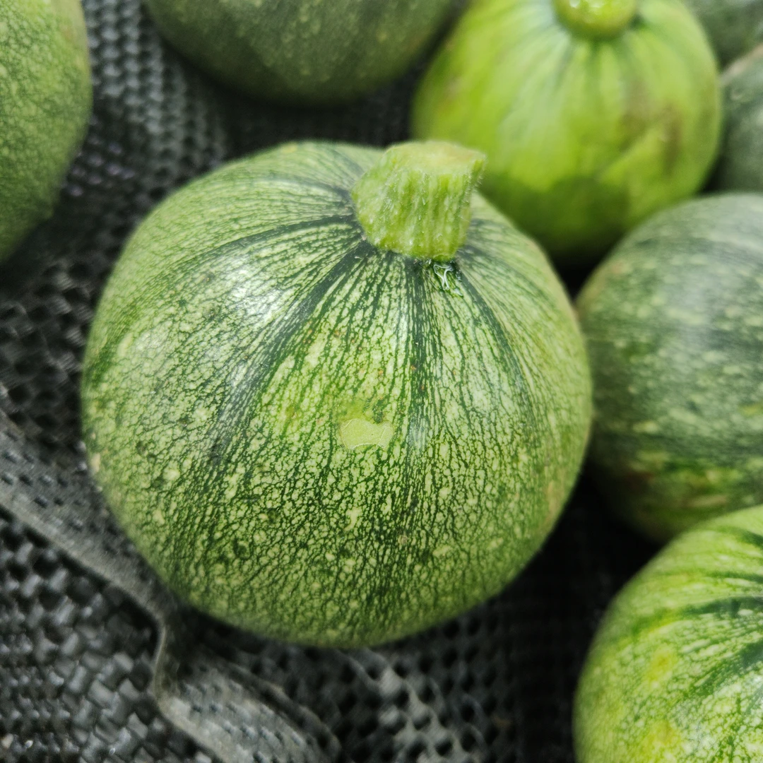 圆小瓜(小嫩南瓜）500克一份南瓜同城送