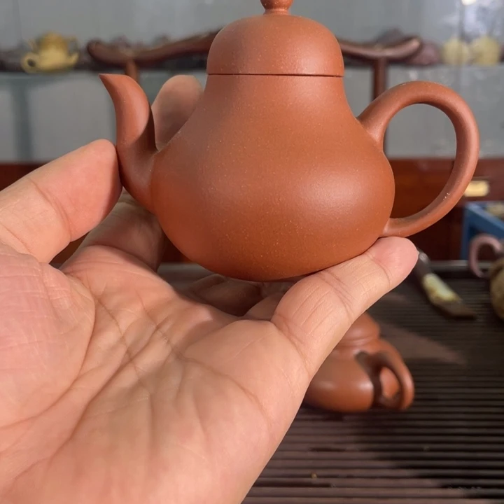 茶壶紫砂哈哈哈哈哈这个综艺节目真的是太棒