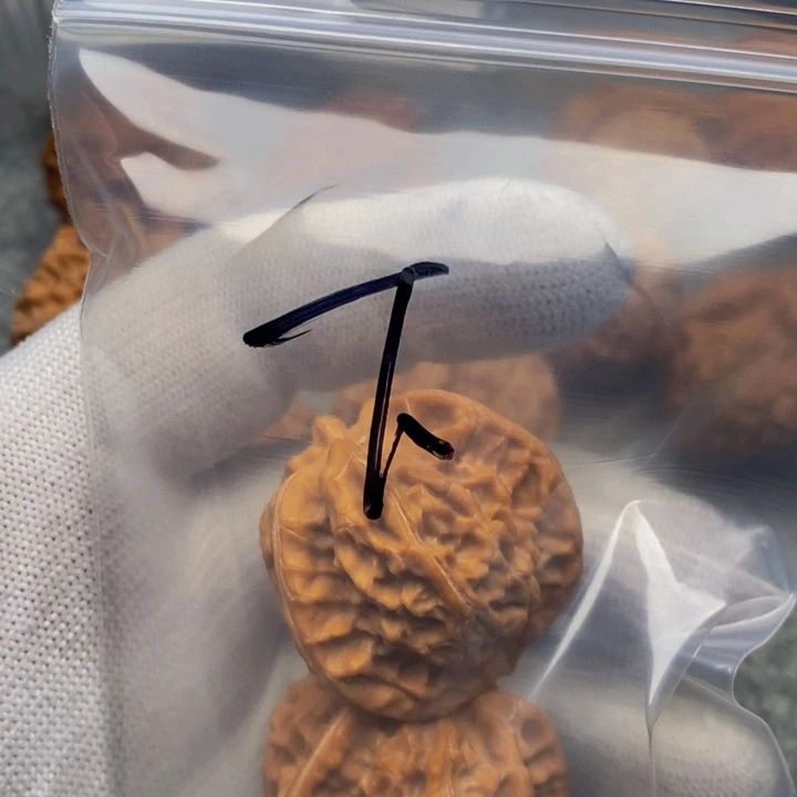 随***看文玩核桃吊坠三棱