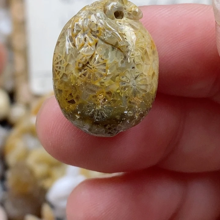 颈饰未镶嵌硅化珊瑚（珊瑚玉）小