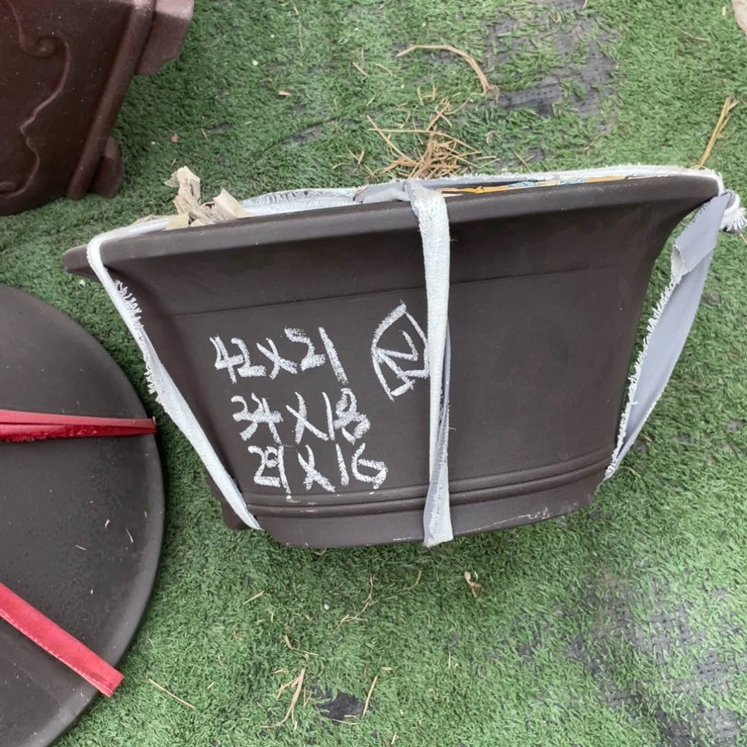 平***鲁精品        大号 一只