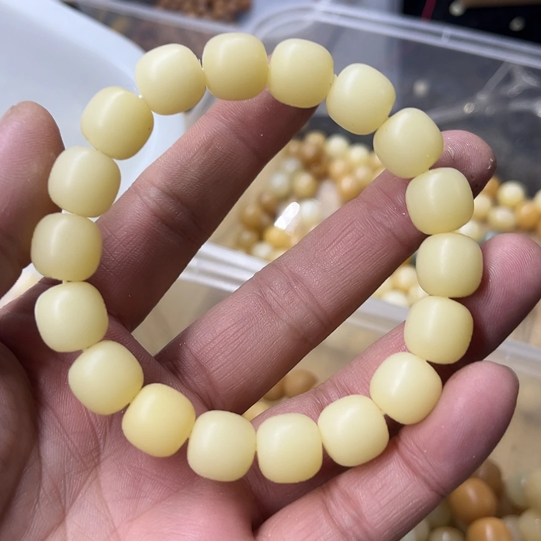手串菩提根/象牙果