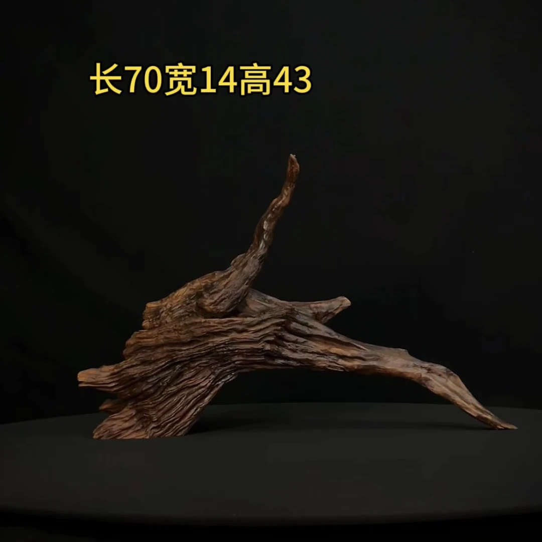 张大狼造景沉木长70cm爆裂纹拱桥飘枝 南美鱼缸造景 紫柚木秒沉