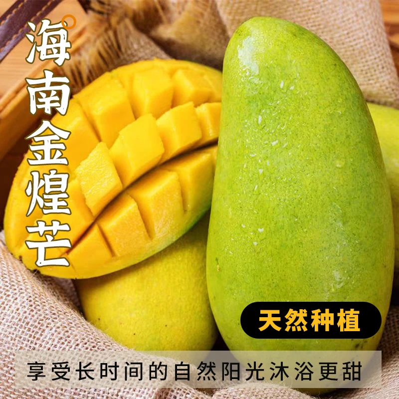 海南金煌芒果青皮新鲜香甜多汁热带水果贵妃青芒小台芒产地直发