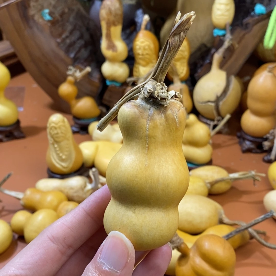 张***来啦啦教练咯教练咯教练咯