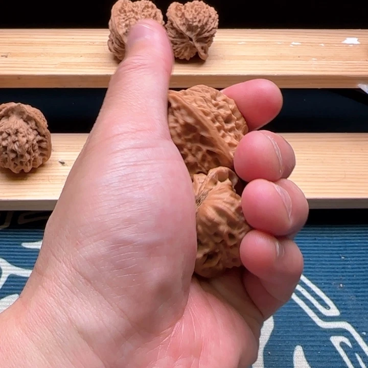 文玩核桃把件白蛇
