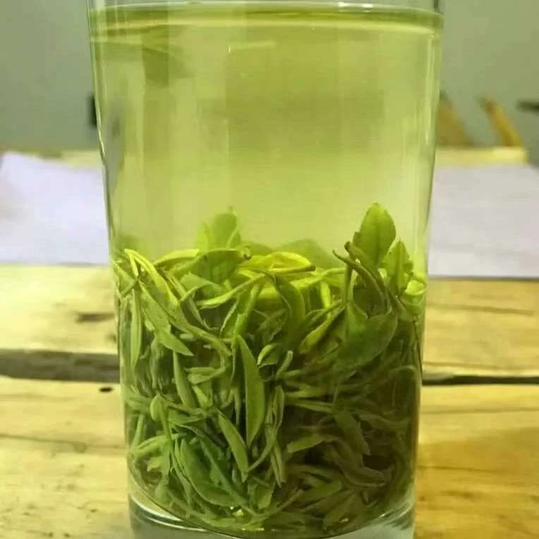 信阳毛尖雨前嫩芽250g