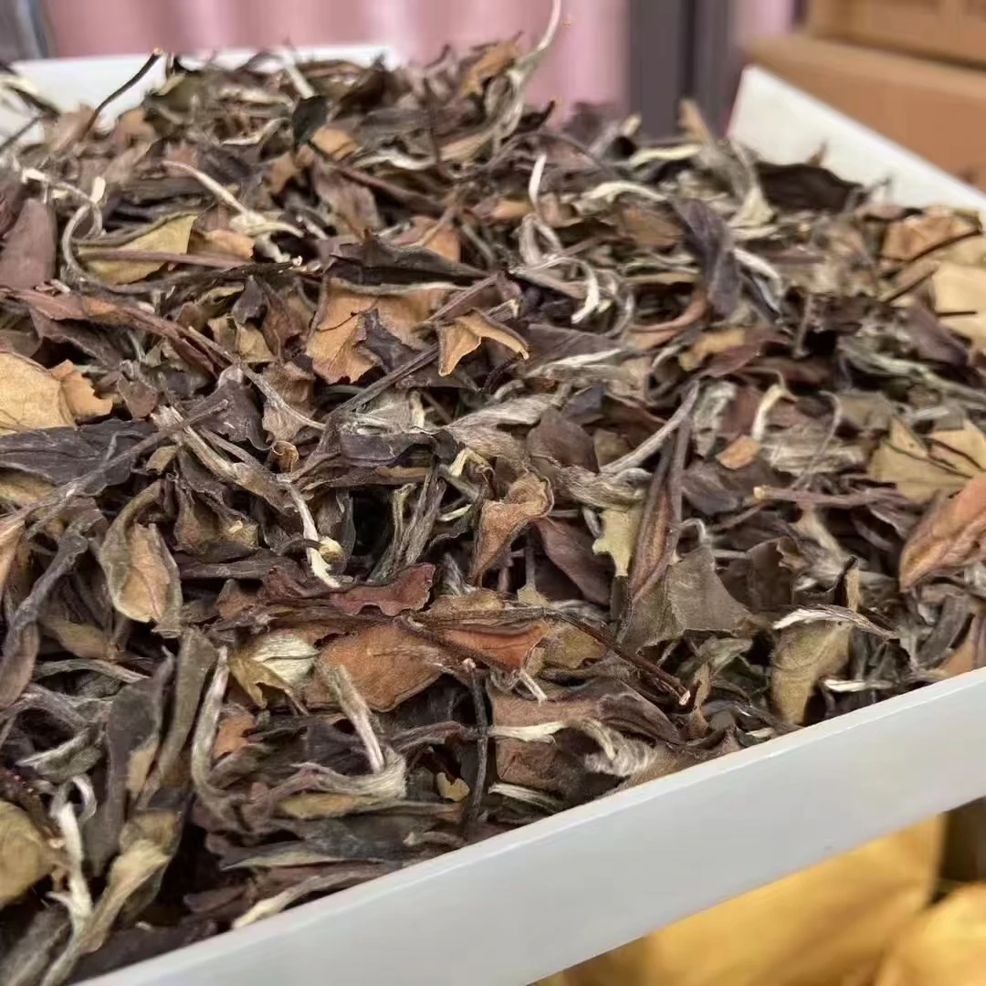 2011年寒露寿眉荒野老树福鼎白茶枣香糯香药香陈香管阳茶高山茶