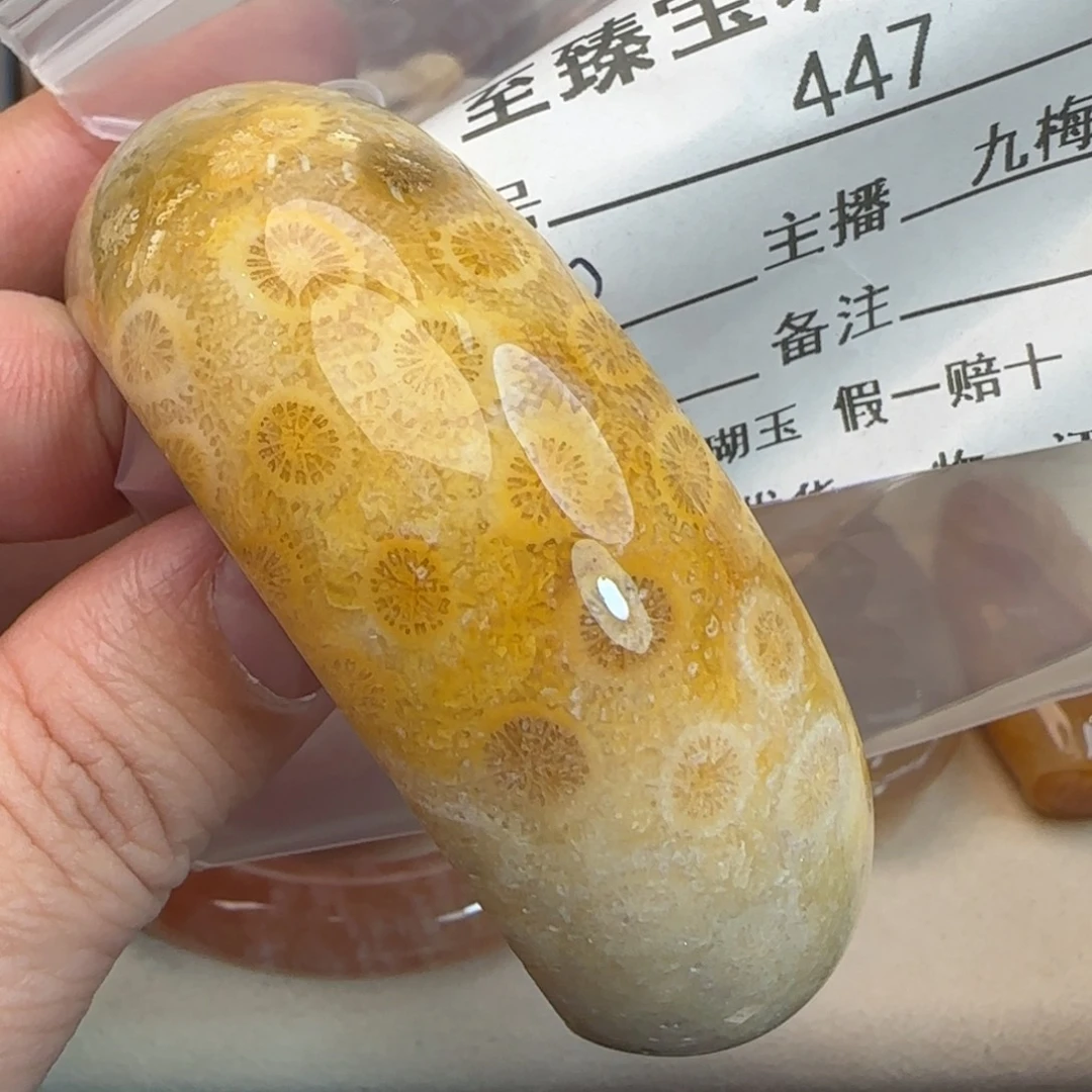 硅化珊瑚（珊瑚玉）未镶嵌吊坠(不含链)
