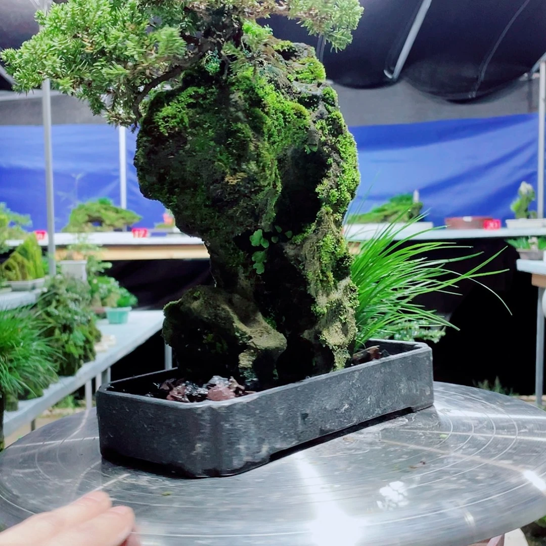 厚***度无花朵我在等一天我要和她
