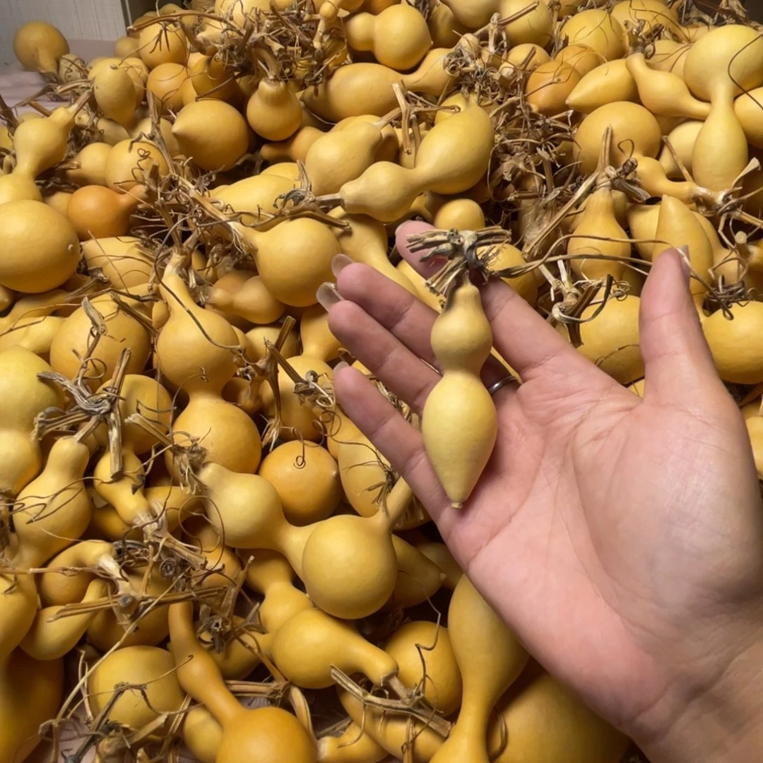 装***张来咯哦哦我哦哦哦哦