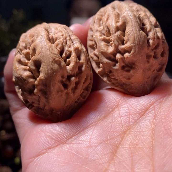 文玩核桃把件东北楸子小路 51