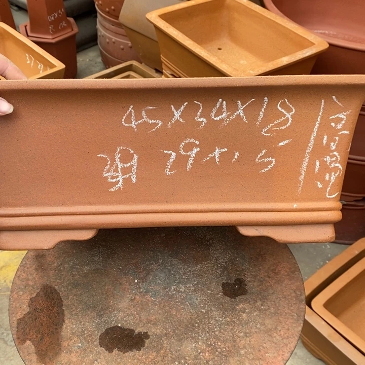 花盆紫砂只顾看手机