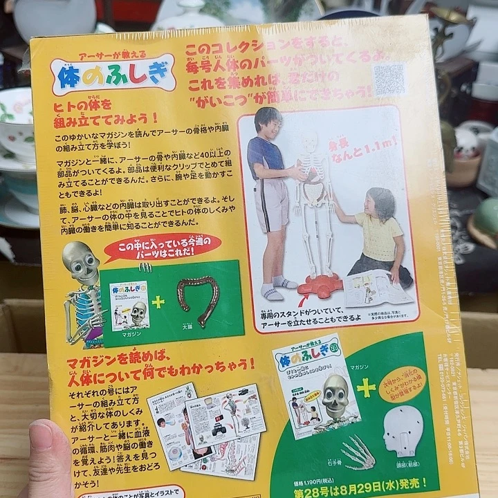 瓷片啊啊啊啊啊啊啊啊啊啊