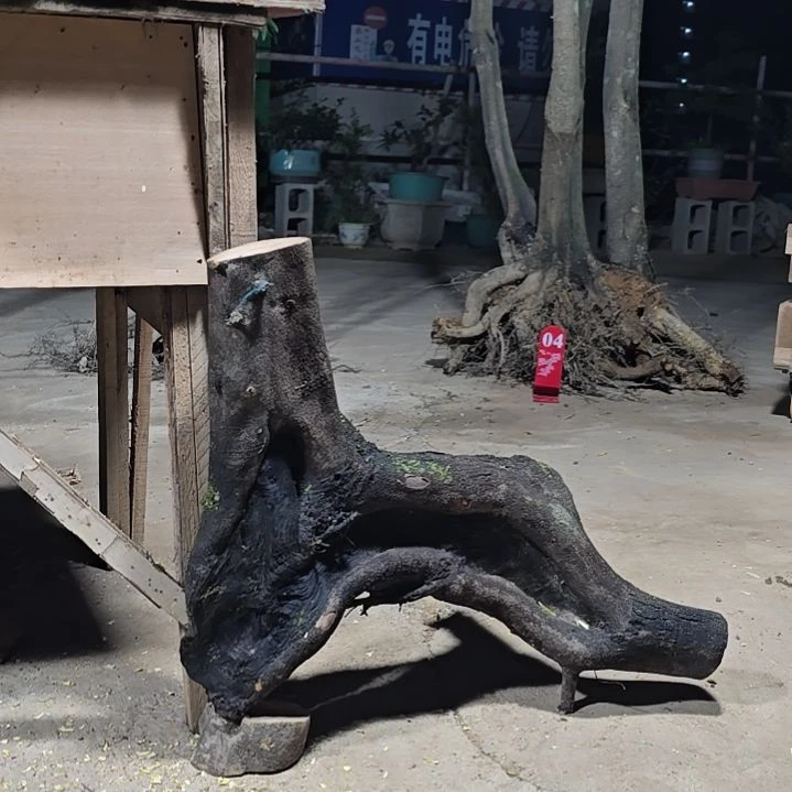 饶***知无花朵金单子当前无花果