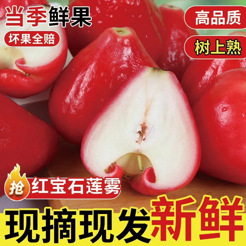 莲雾红宝石新鲜现摘当季清甜多汁孕妇水果泡沫箱+冰袋保鲜