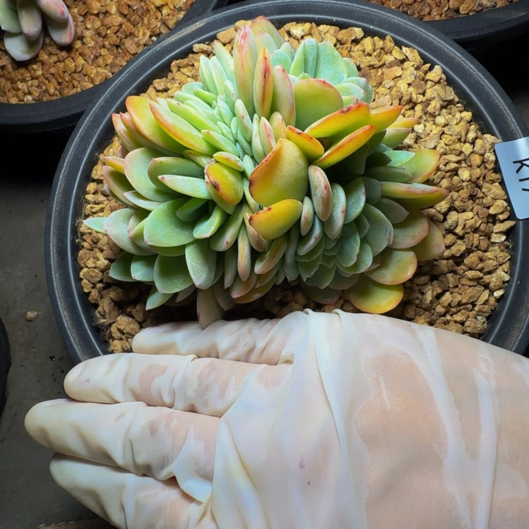 k k k k k k k k k 17