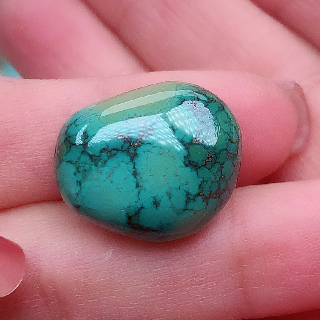 绿松石未镶嵌颈饰