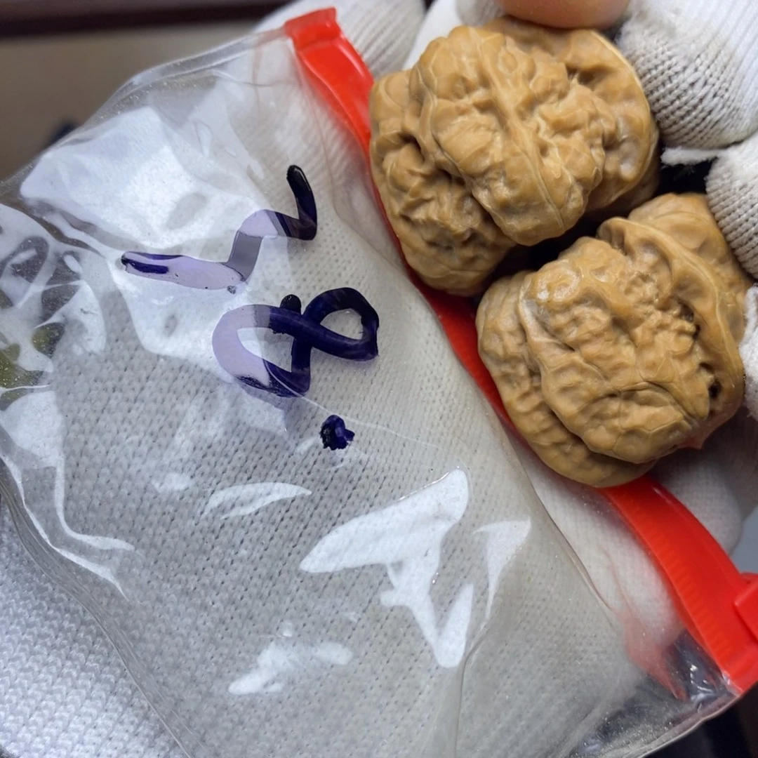 瑞麟文玩核桃蛤蟆头