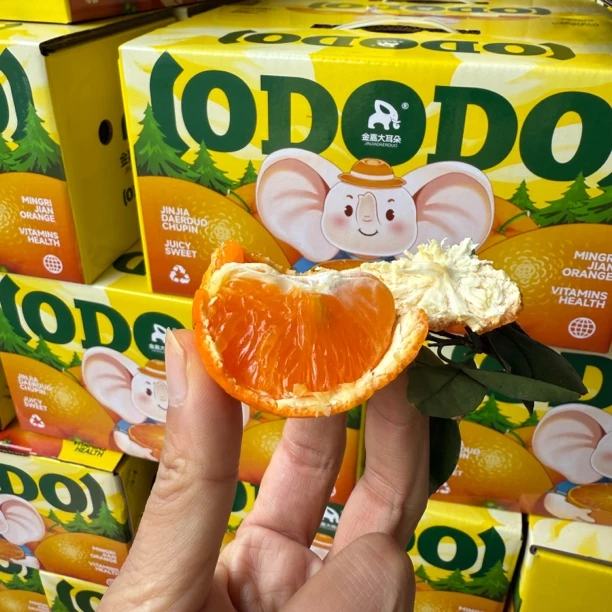 【军哥严选】阿蜜达柑橘4.8斤礼盒装