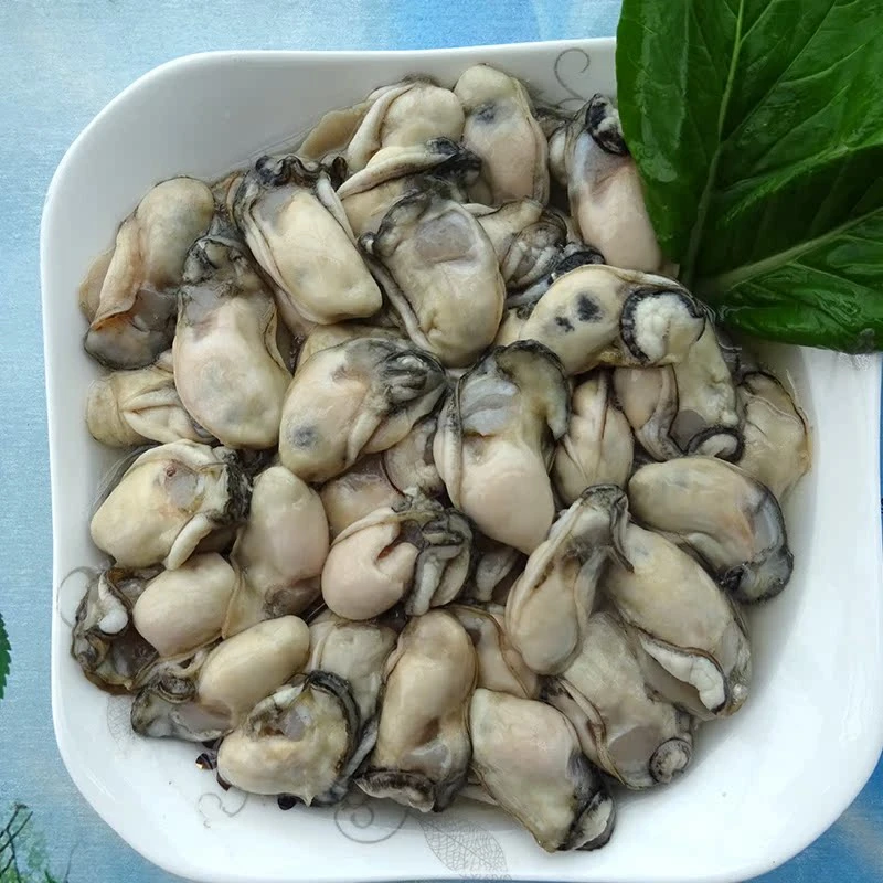 海蛎--生蚝现称顺丰发货 包鲜/不包活