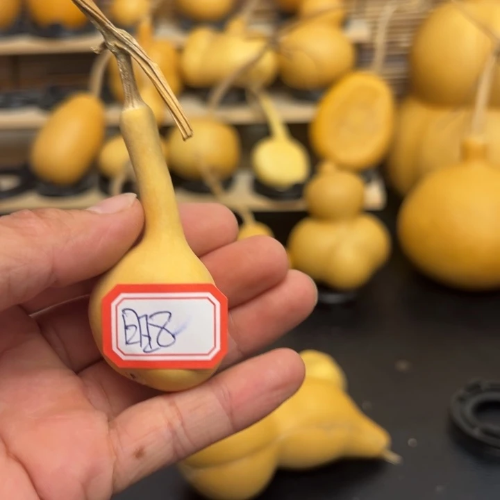 旺**包566666566988588899