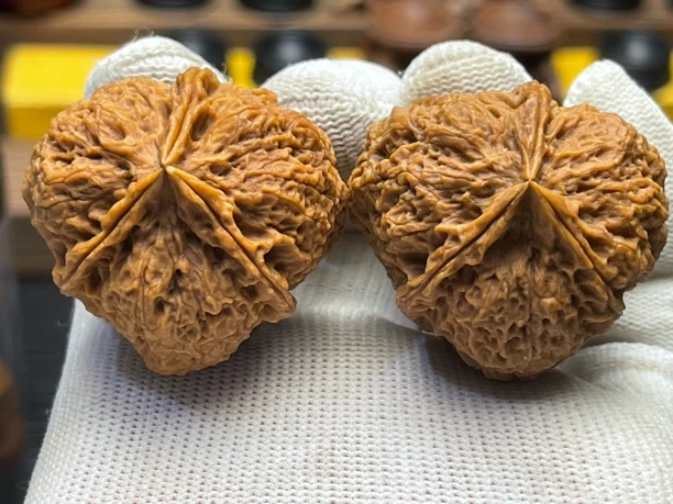 40mm蚂蚁纹三棱 克重55