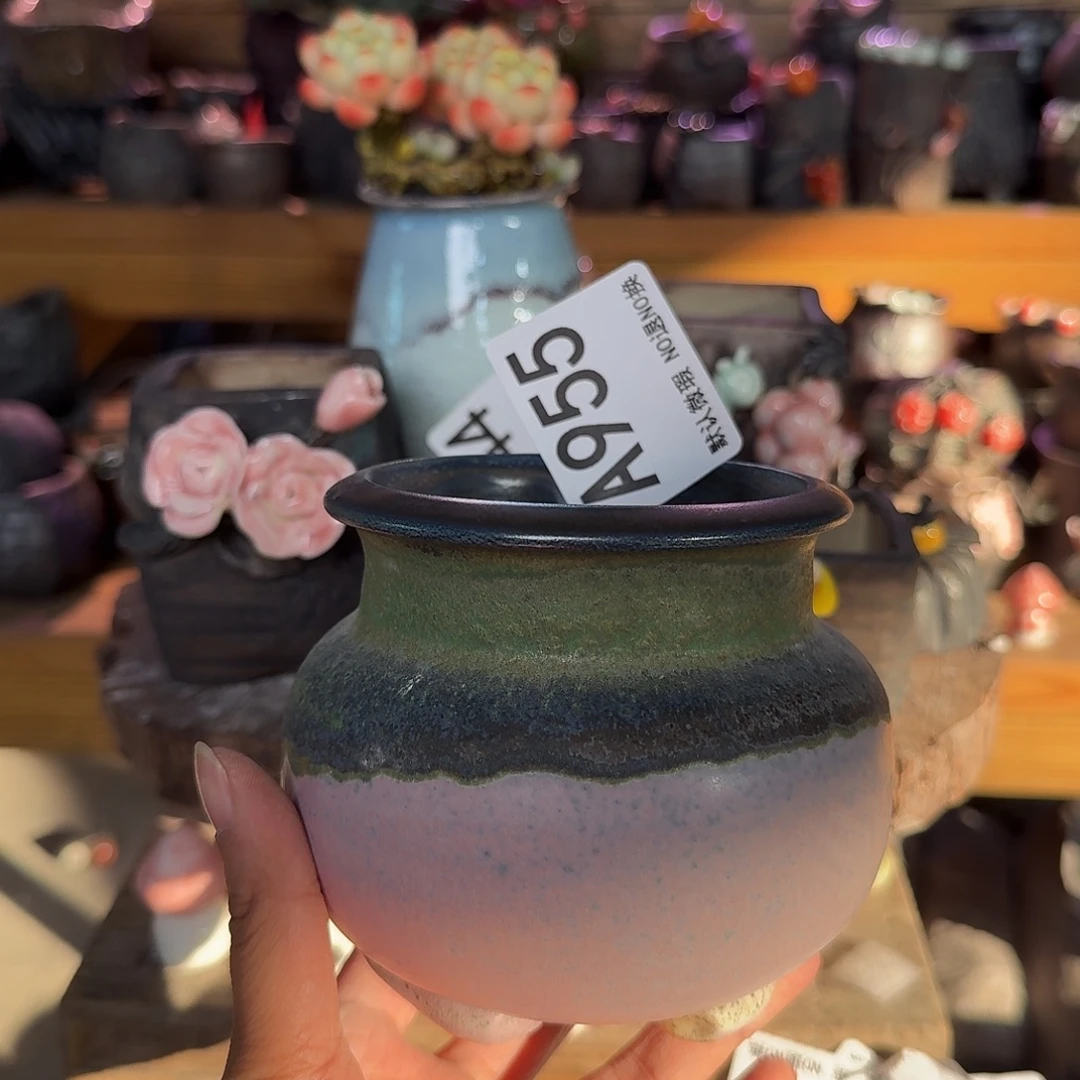 重庆小燕子欢迎大家955