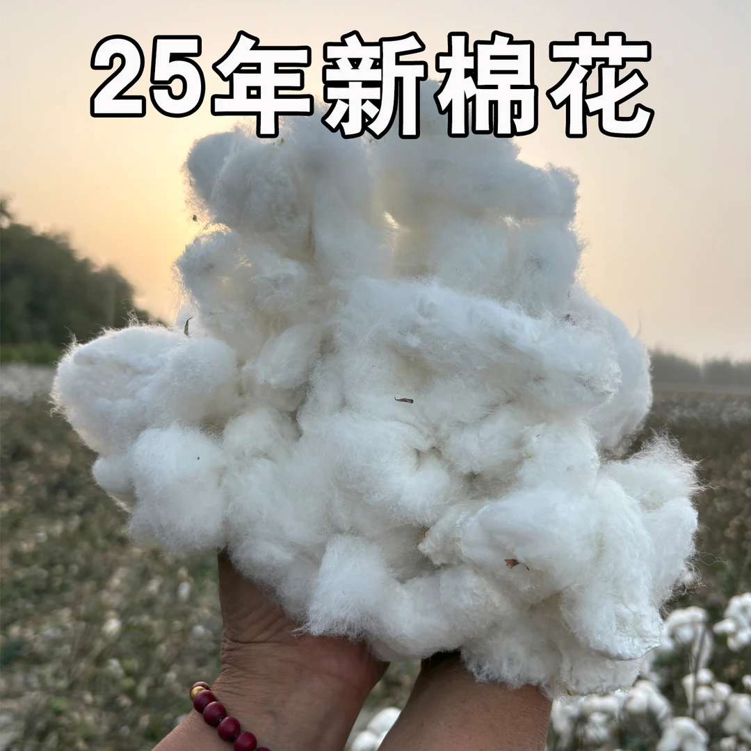新疆棉花籽棉手工采摘纯棉花农家自产