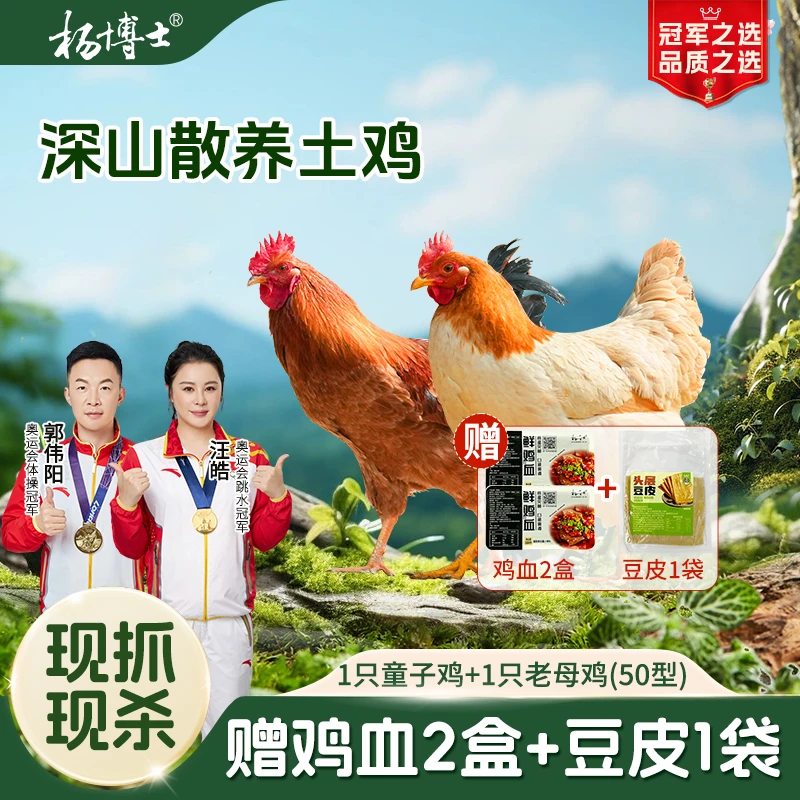 【母子组合】杨博士土鸡皖南深山散养老母鸡+鲜嫩童子鸡新鲜红烧