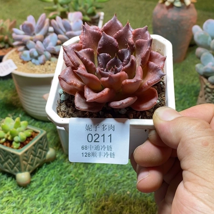 0211啊啊啊啊啊啊啊啊啊