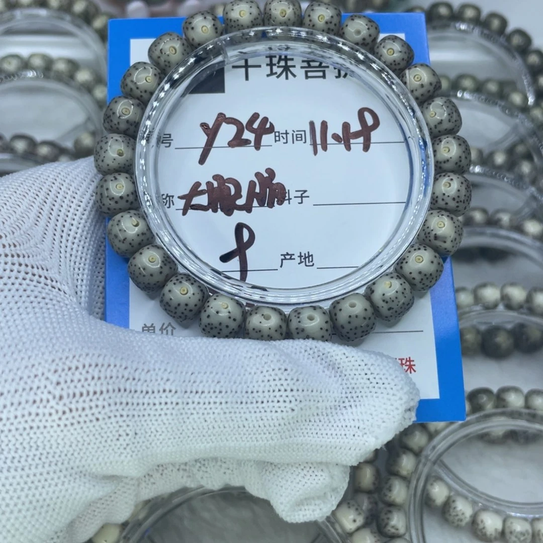 菩提籽类Y24大眼睛