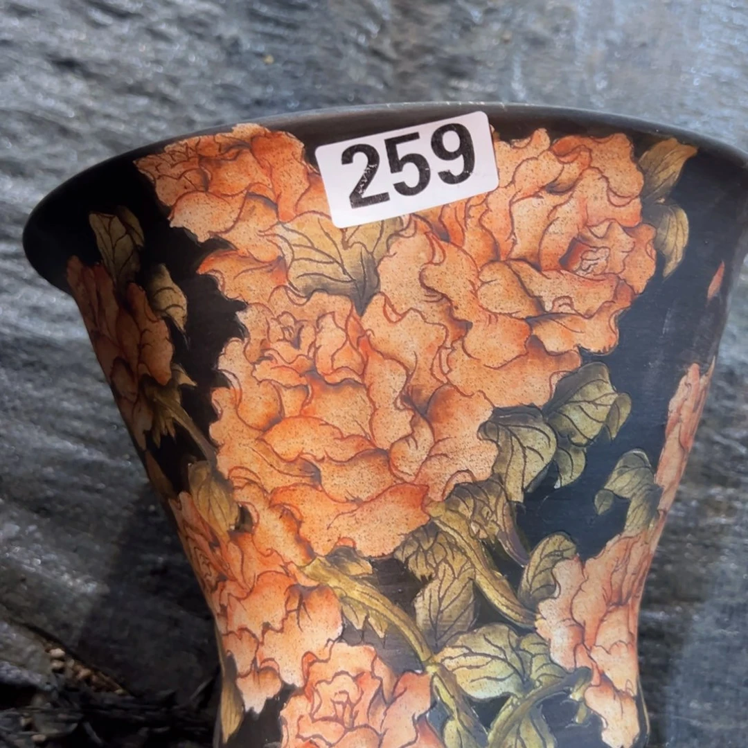 红陶S*s新年快乐啊宝宝们88888888